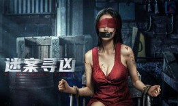 迷案寻凶,探寻迷案背后的真相与凶手