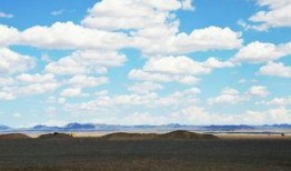 母似瀚海,探寻生命的广阔与深邃