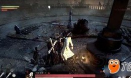 家族史之谜：埋葬的过去,揭开埋葬的过去之谜