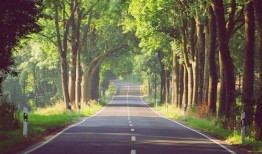 生生活活,感悟人生