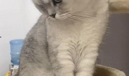 毛茸茸的世界 第一季,第一季