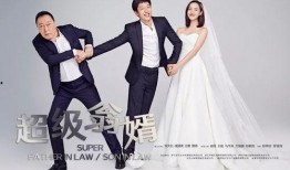 超级翁婿,跨越时代的亲情与智慧