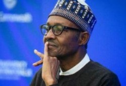 塔穆杜,探寻古老智慧的神秘之旅