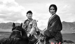 甘南情歌,高原上的旋律与情感共鸣