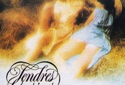 十八岁未嫁时,梦想起航