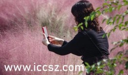 火线追凶2之黑色玫瑰,火线追凶2中的暗影阴谋