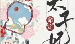 命定太子妃,红颜祸水还是天命所归？