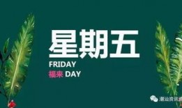 关注星期五,一周的期待与收获