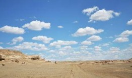 母似瀚海,探寻生命的广阔与深邃