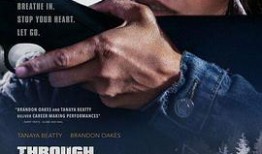 穿过黑云杉,探寻自然奇观与心灵之旅