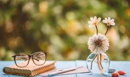 最好的一年,回顾我国最好一年的辉煌成就