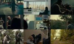 穿过黑云杉,探寻自然奇观与心灵之旅