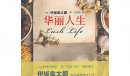 华丽人生,探寻璀璨人生轨迹的璀璨篇章