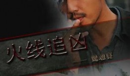 火线追凶2之黑色玫瑰,火线追凶2中的暗影阴谋