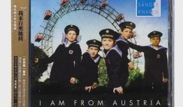 我来自奥地利,探寻阿尔卑斯山下的魅力之旅